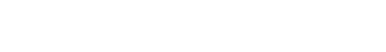 Provost Cyber